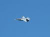 axalp_09_048.jpg