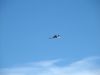 axalp_09_051.jpg