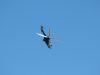 axalp_09_127.jpg