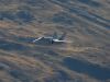 axalp_09_145.jpg