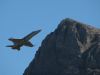 axalp_09_150.jpg