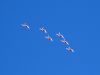 axalp_09_160.jpg