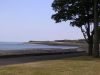DSCN1330_JPG.jpg